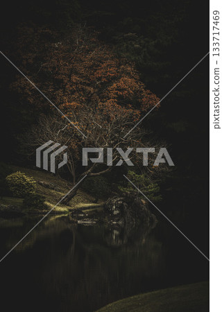 Autumn scenery of a Japanese garden, Rikugien Garden, Tokyo Autumn scenery of a Japanese garden, Rikugien Garden, Tokyo 133717469