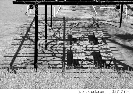 紫藤和涼棚複雜光影的黑白橫幅照片 133717504