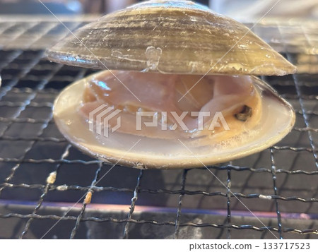 clam clam 133717523