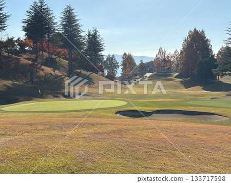 Autumn leaves of a golf course 133717598