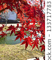Maruike spring water and autumn leaves 133717783