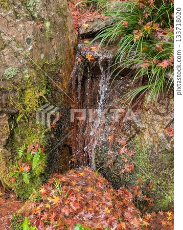 清澈的溪水在長滿青苔的岩石和色彩繽紛的秋葉間潺潺流淌。 清澈的溪水在長滿青苔的岩石和色彩繽紛的秋葉間潺潺流淌。 133718020