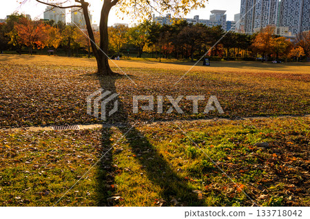 漢江公園秋日美景 漢江公園秋日美景 133718042