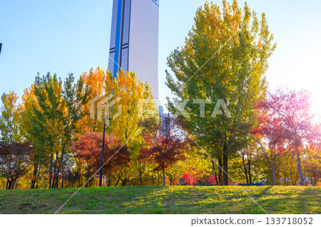 Beautiful autumn scenery at Hangang Park Beautiful autumn scenery at Hangang Park 133718052