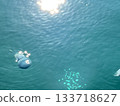 A blue jellyfish 133718627