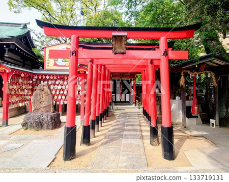 甲子園須佐之男神社的棒球投手丘和鳥居 133719131