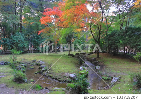 Kamigamo Shrine in autumn (Shokeien Garden, Kyoto City) 133719207