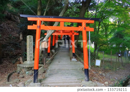 Kamigamo Shrine (Futabahime Inari Shrine, Kyoto City) Kamigamo Shrine (Futabahime Inari Shrine, Kyoto City) 133719211
