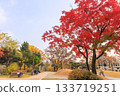 Beautiful autumn foliage scenery in the park 133719251