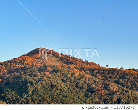 秋季的大文字山 秋季的大文字山 133719278