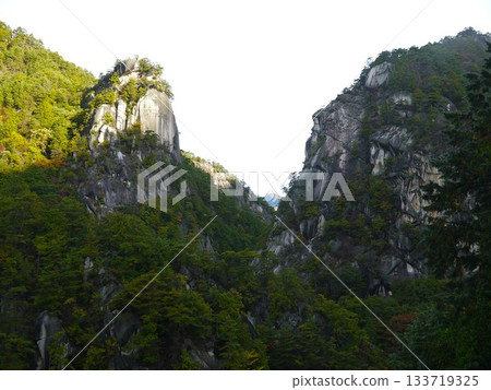 Yenjinbong 133719325