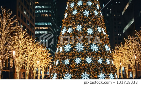 一棵巨大的聖誕樹，上面掛滿了令人印象深刻的雪花裝飾品。 133719338