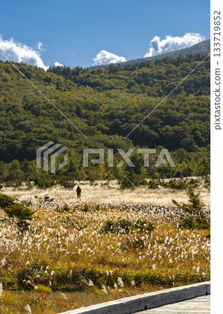 <Fukushima Prefecture> From the trail near the Jododaira Visitor Center <Fukushima Prefecture> From the trail near the Jododaira Visitor Center 133719852