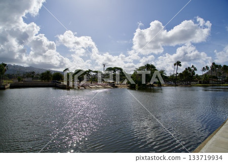 歐胡島檀香山阿拉威運河景觀 133719934