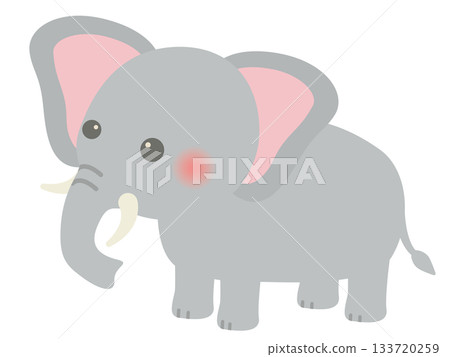 動物_大象 133720259