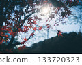 風景與秋天的落葉 133720323
