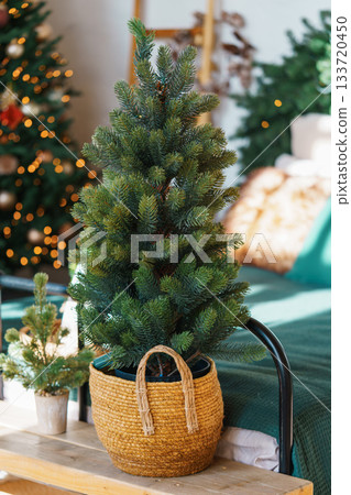 Small decorative Christmas Tree in woven basket in cozy Holiday Interior background 133720450