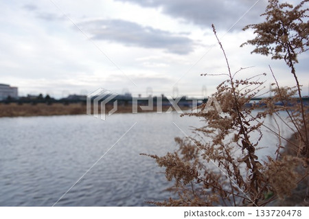 Tama River on a sunny winter day 133720478
