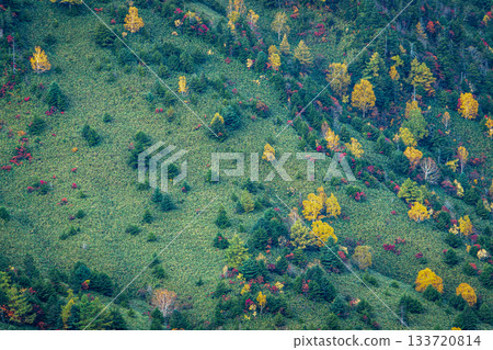 Autumn leaves and grassland scenery decorating the mountainside of Shibu Pass (Yamanouchi Town, Nagano Prefecture) 133720814