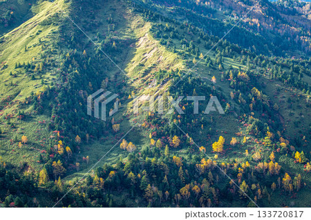 初秋時節，澀谷山坡被染成一片絢麗的色彩，晨曦灑在山坡上（長野縣山之內町）。 133720817