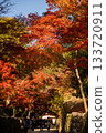 宇治的秋葉 133720911