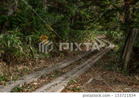 通往木戶池（長野縣山之內町）的靜謐木棧道與林間小路 133721834