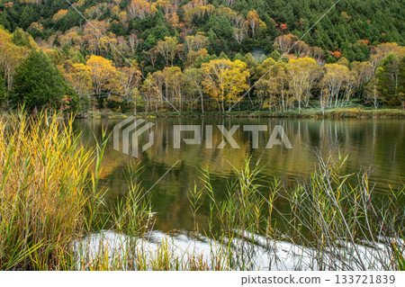 Autumn forest and autumn foliage reflected in the waters of Kido Pond (Yamanouchi Town, Nagano Prefecture) 133721839