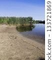 vertical photo. sandy beach along edge of lake with clear water. shoreline offers mix of sand and grass. beautiful lake surrounded by green grasses and plants. water is calm. 133721869
