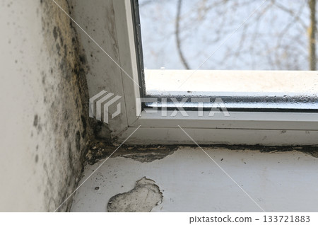 Mold in window corner. Black stains spread to frame and wall. Severe mold growth in window corner, with black spots covering the frame. Evidence of water damage and inadequate moisture control. 133721883