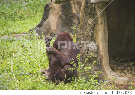 Tourist scene in Taiwan Tourist scene in Taiwan 133722078