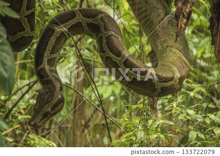 Tourist scene in Taiwan Tourist scene in Taiwan 133722079