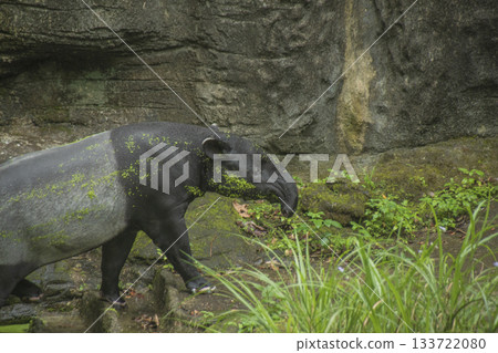 台灣旅遊景象 133722080