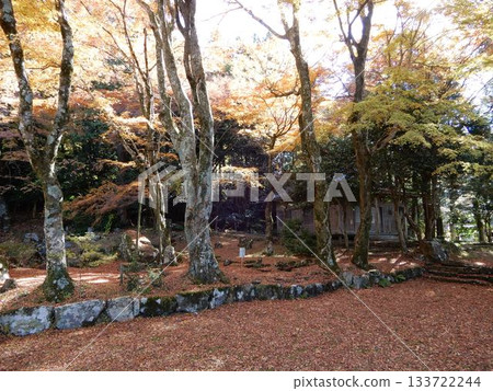 Former Kameishibo Garden (Mount Hiko) 133722244