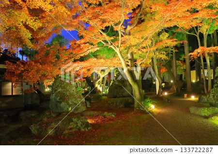 京都的秋天(京都市莊山度假村燈光秀) 京都的秋天(京都市莊山度假村燈光秀) 133722287