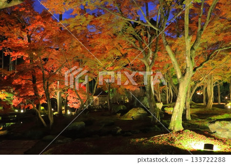 Autumn in Kyoto (Shozan Resort Light-up, Kyoto City) Autumn in Kyoto (Shozan Resort Light-up, Kyoto City) 133722288