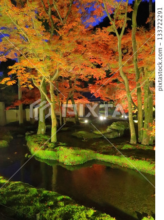 京都的秋天（莊山度假村、燈光秀、京都市、豎幅構圖） 133722291