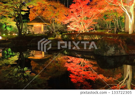 Autumn in Kyoto (Shozan Resort Light-up, Kyoto City) Autumn in Kyoto (Shozan Resort Light-up, Kyoto City) 133722305