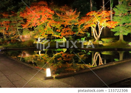京都的秋天（京都市莊山度假村燈光秀） 133722306