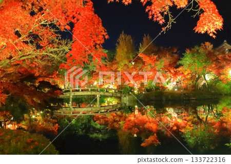 秋季的永觀堂(京都府北條池,燈光璀璨) 秋季的永觀堂(京都府北條池,燈光璀璨) 133722316