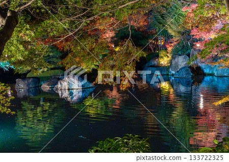 Autumn leaves of Kokoen that were lighted up 133722325