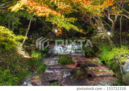 Autumn leaves of Kokoen that were lighted up 133722326