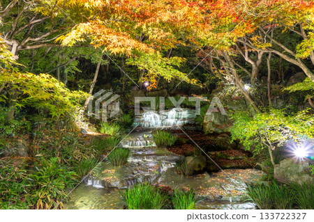 Autumn leaves of Kokoen that were lighted up 133722327