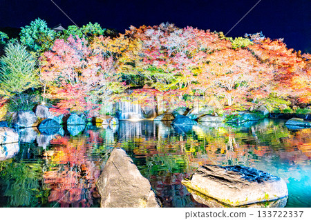 Autumn leaves of Kokoen that were lighted up 133722337