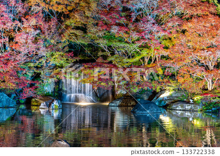 Autumn leaves of Kokoen that were lighted up Autumn leaves of Kokoen that were lighted up 133722338