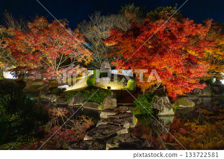 Illuminated autumn leaves of Eikando Illuminated autumn leaves of Eikando 133722581