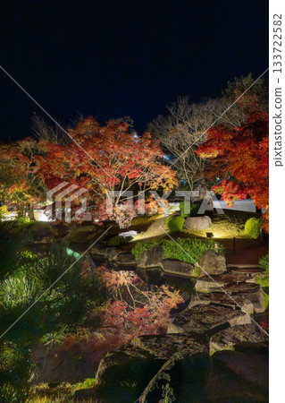 Illuminated autumn leaves of Eikando Illuminated autumn leaves of Eikando 133722582