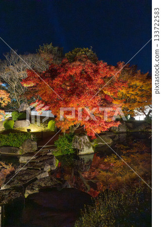 Illuminated autumn leaves of Eikando Illuminated autumn leaves of Eikando 133722583