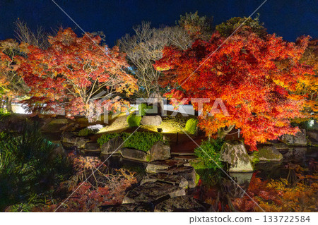 Illuminated autumn leaves of Eikando Illuminated autumn leaves of Eikando 133722584