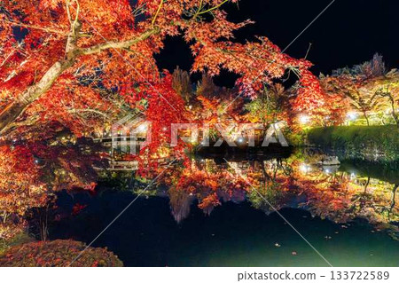 Eikando的秋葉照亮 133722589