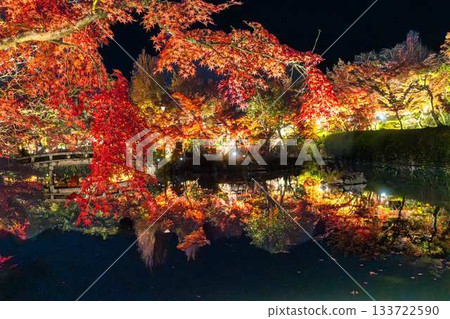 Eikando的秋葉照亮 133722590